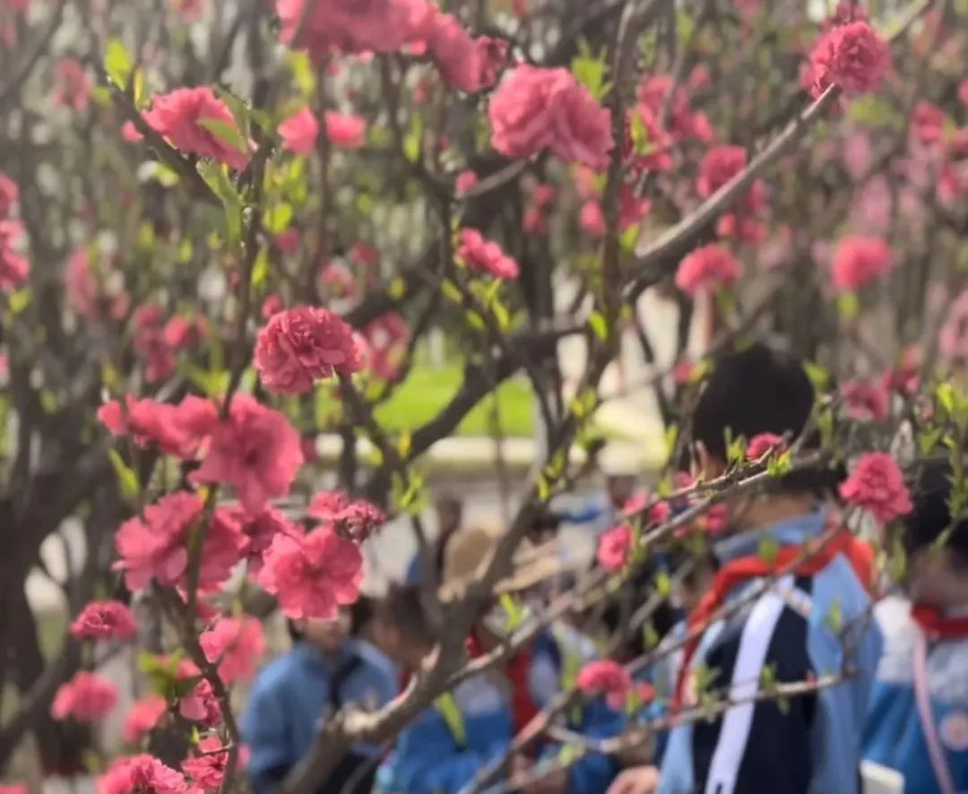 走进科技之春 • 感受花卉魅力