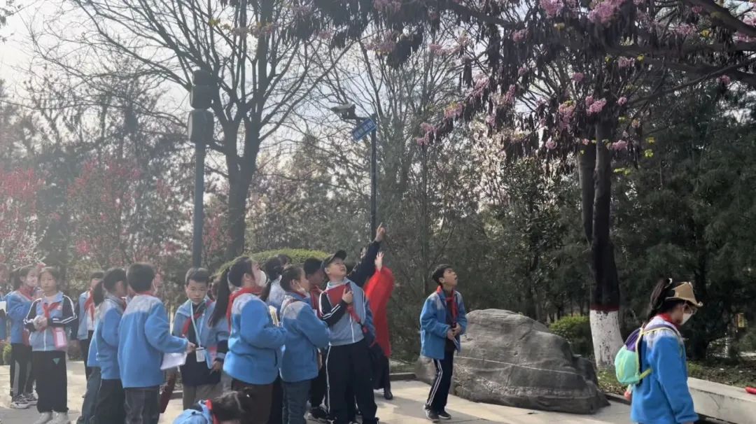 走进科技之春 • 感受花卉魅力