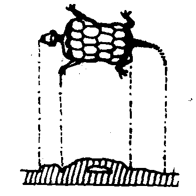 宝博微课堂丨铜镜博览会之三——镜钮集锦